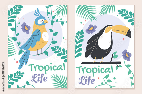 Jungle safari birds parrot greeting cards template set. Vector flat graphic design element