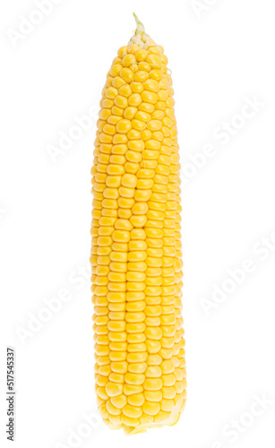 young corn isolated