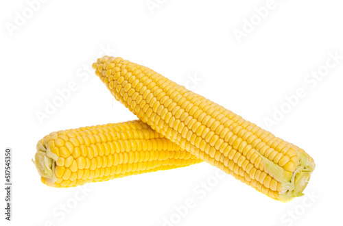 young corn isolated