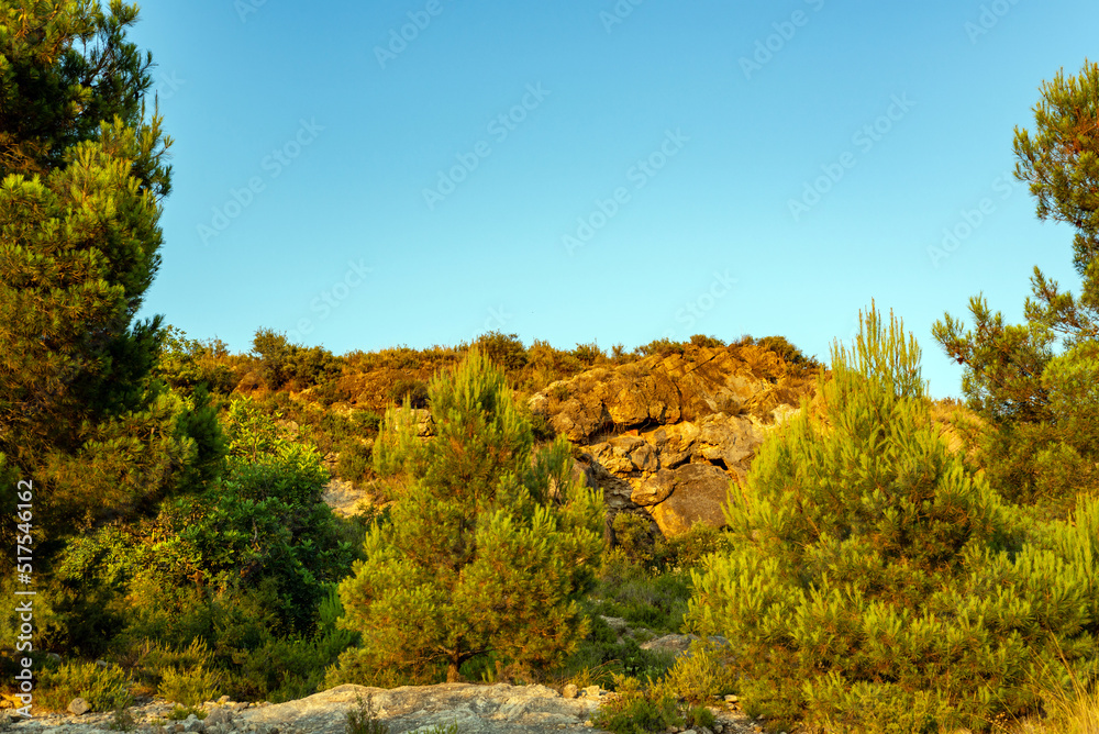 mountain view surrounded by trees against a clear blue sky