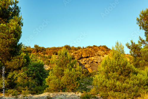 Fototapeta Naklejka Na Ścianę i Meble -  mountain view surrounded by trees against a clear blue sky