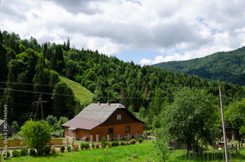Summer landscape in Carpathian Mountains, Ukraine