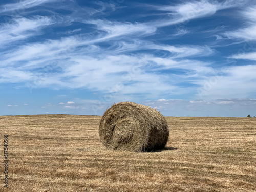Bale of hay. Haystack stack field dry grass yellow countryside blue sky nature. Agriculture field with sky. Rural nature in the farm land. Straw on the meadow. Wheat yellow golden harvest in summer.