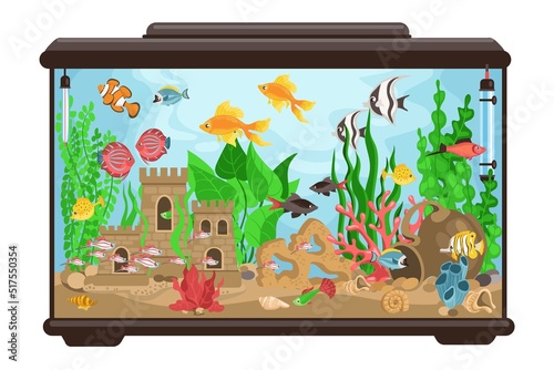 Aquarium with fish. Cartoon fishbowl. Underwater decorative goldfish habitat. Multicolor creations different breeds. Marine animal and aquatic castle. Splendid vector glass container