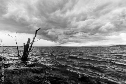 Broken trunks on a lake, beneath a dramatic, moody sky with an incoming storm
