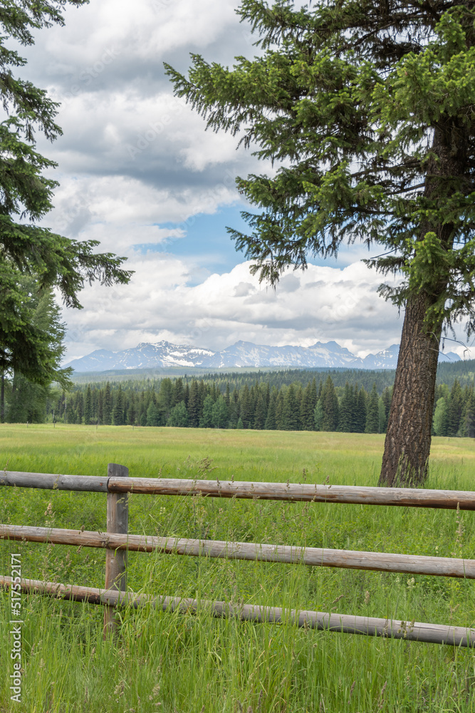 The snow-covered mountain peaks of Glacier National Park seen in the distance beyond a fence and field.