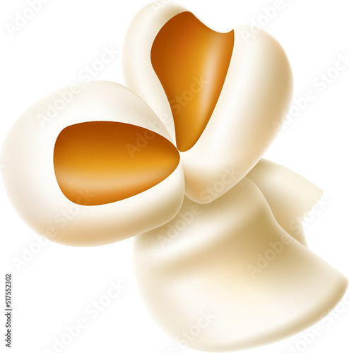 Popped corn kernel. Fastfood snack. Realistic popcorn