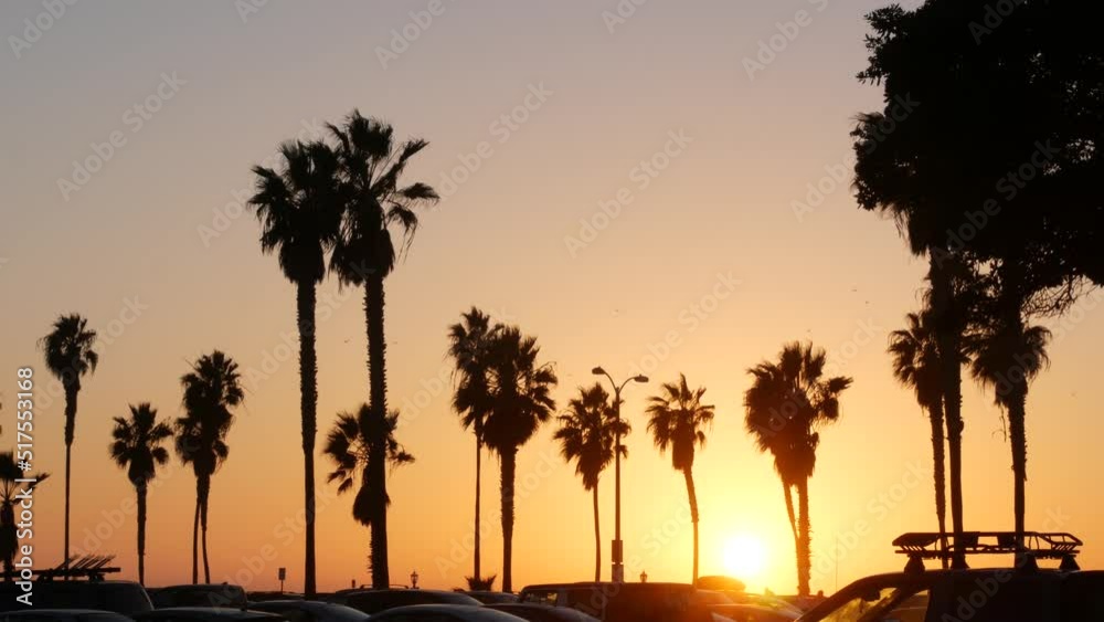 Orange sky, silhouettes of palm trees on beach at sunset, California coast, USA. Beachfront park at sundown in San Diego, Mission beach vacations resort on pacific shore. Tropical american summer. Orange sky, silhouettes of palm trees on beach at sunset, California coast, USA. Beachfront park at sundown in San Diego, Mission beach vacations resort on pacific shore. Tropical american summer.