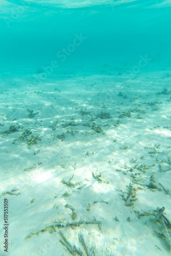 Fototapeta Naklejka Na Ścianę i Meble -  Underwater shot of white sand and coral reef with turquoise water above it in the Maldives - Portrait 