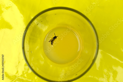 wasp drowning in a glass of juice, dangerous situation, risk of getting stung