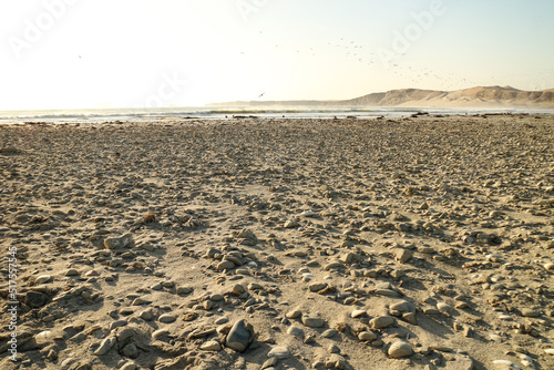 Evening landscapes of Paracas National Reserve Park  Peru