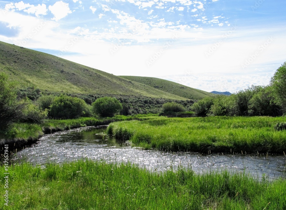 Grasshopper Creek Valley in Montana