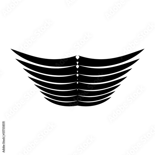 Vector black wings with isolated white background