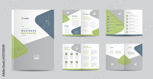 Corporate Business Brochure Design or Annual Report and Company Profile or Booklet and Catalog Design Template