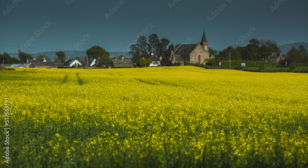 View of the church and the village from the rape field