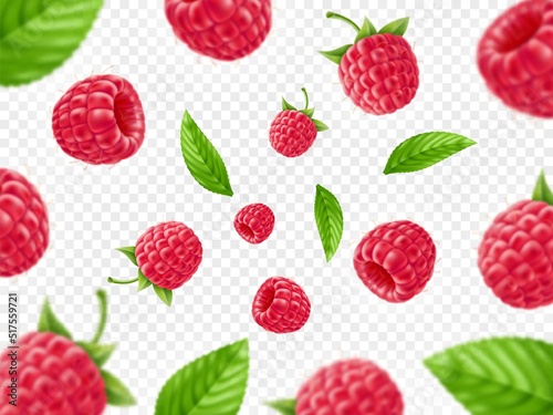 Realistic berries background. Focused and unfocused flying fresh raspberries with leaves, natural falling 3d fruits isolated on transparent background, banner template, utter vector concept