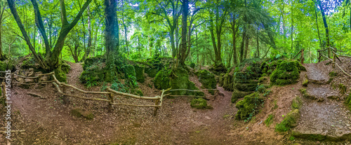 Puzzlewood, an ancient woodland near Coleford in the Royal Forest of Dean, Gloucestershire, UK.