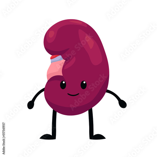 Funny human kidney on white background