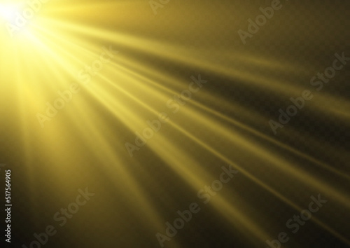 Gold sun rays light, star, flare, glare, sparkles