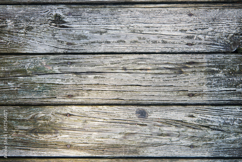  Good background. Old wooden gray boards worn by time.