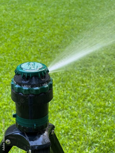 Watering the lawn with sprinkler spray for deep irrigation of backyard grass