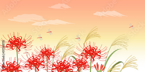 彼岸花とススキとトンボの夕焼け風景_背景_ベクターイラスト