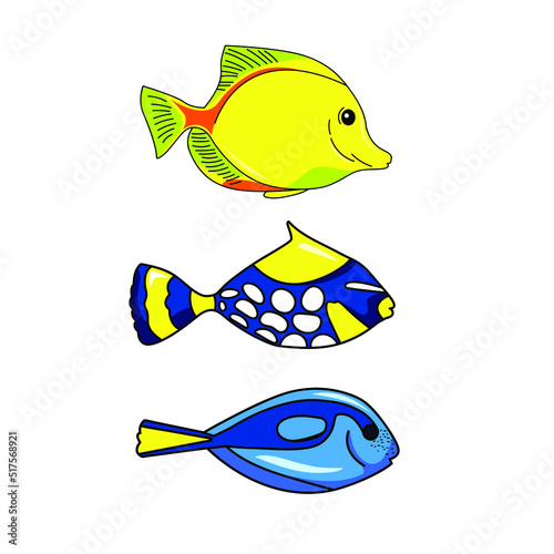 Reef Fish Vector. Coral Fish Illustration. Tropical fish isolated on white background