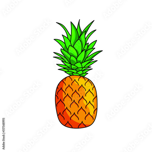 Pineapple tropical fruit Ananas isolated on white background. 