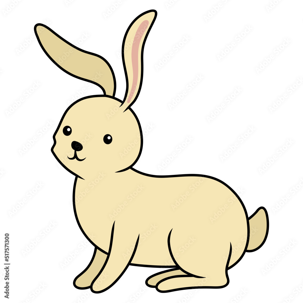 Fototapeta premium bunny animal rabbit