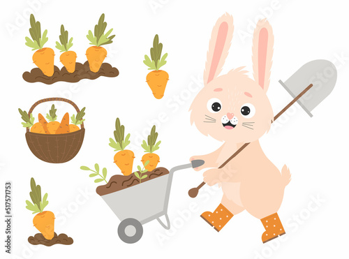 Cute cartoon bunny in rubber boots with garden wheelbarrow and shovel, harvesting. Carrots in garden bed and in wicker basket. Vector illustration happy character rabbit. Isolated elements