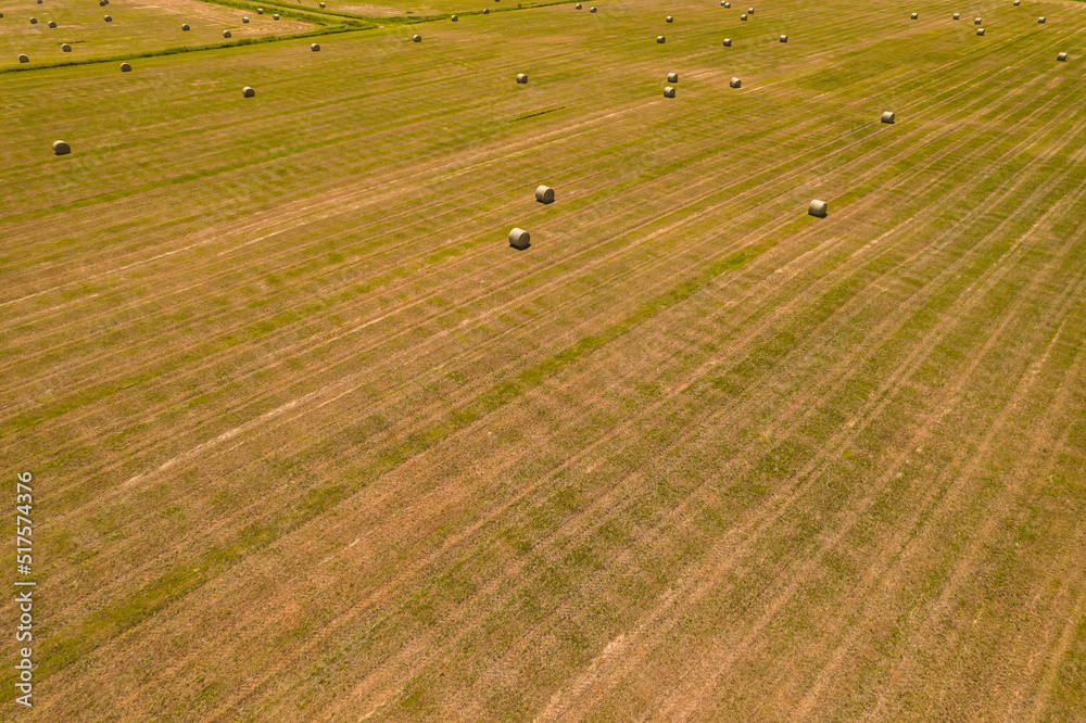 Obraz premium Summer farm scenery with haystacks and bales of hay. Field landscape with rolls scattered around. Agriculture panoramic photo with rural harvest landscape. Grass and wheat rolls left in a field.