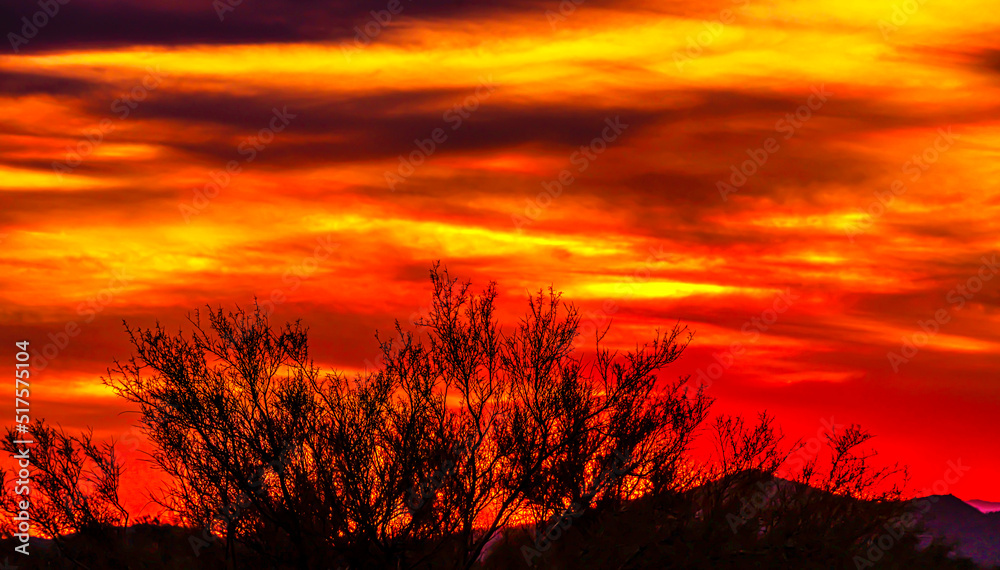 Southern Arizona Sunsets