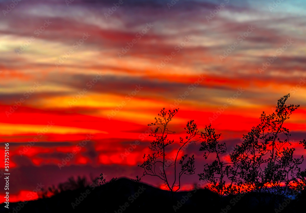 Southern Arizona Sunsets