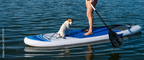 Dog jack russell terrier swims on the board with the owner. A woman and her pet spend time together at the lake © Михаил Решетников