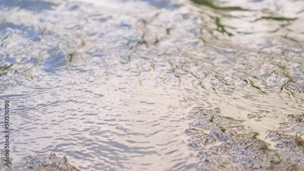 Water flowing in a stream next to the shore. Water flowing in a stream next to the shore.