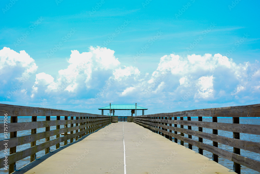 Fototapeta premium bridge to the sea