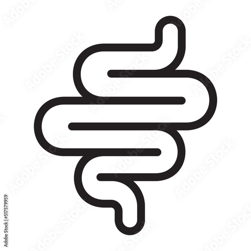 intestine line icon
