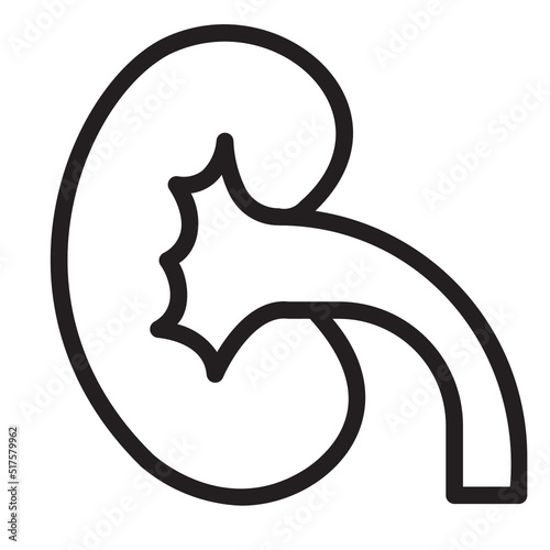kidneys line icon