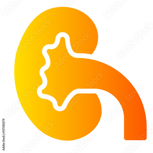 kidneys gradient icon