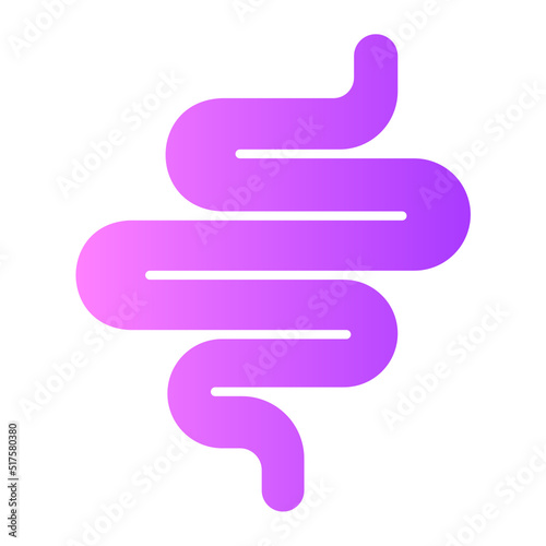 intestine gradient icon photo