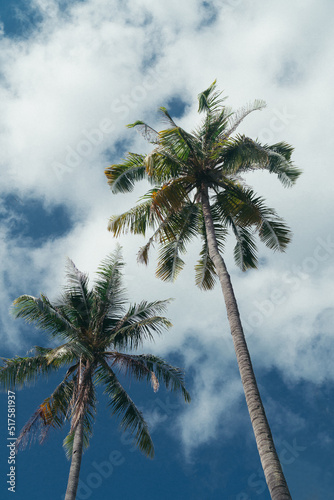 Wallpaper Mural Krabi is a southern province in Thailand filled with beautiful natural limestone cliffs, mangrove forests, and more than 150 islands Torontodigital.ca