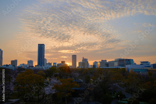 Urban Sunset                    