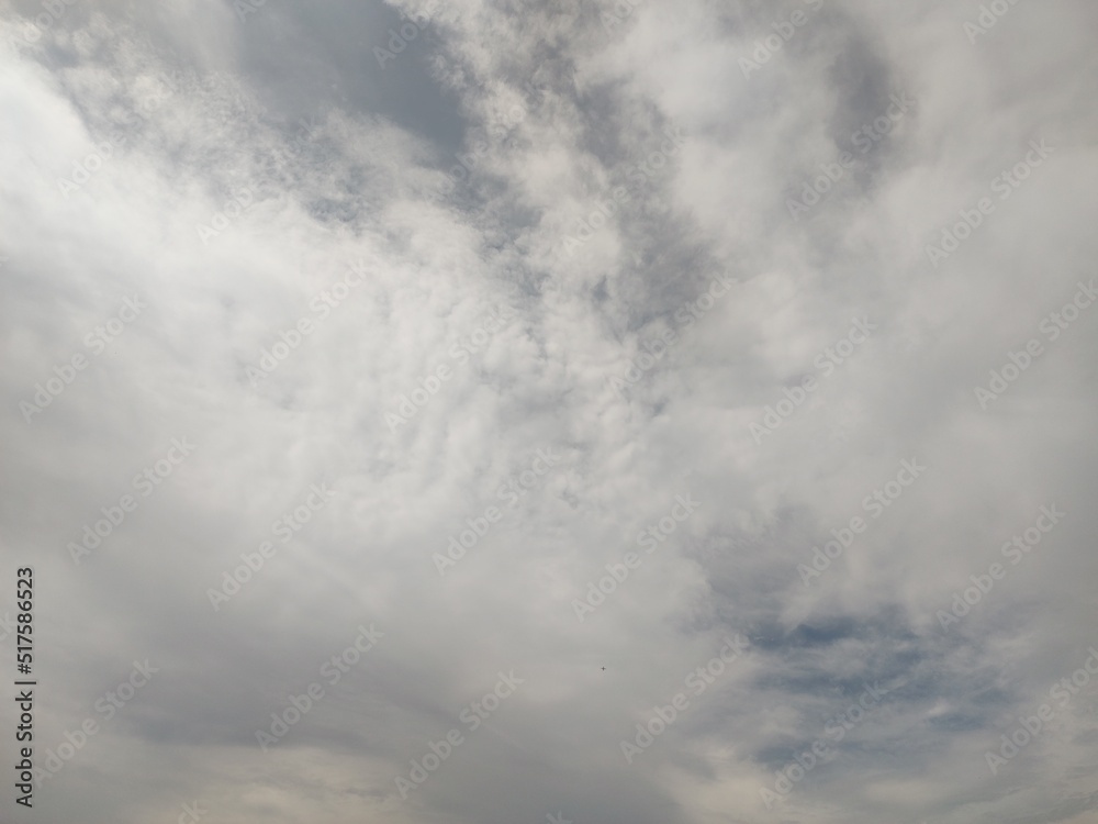 Fototapeta premium 東京のそら(22.7.18)