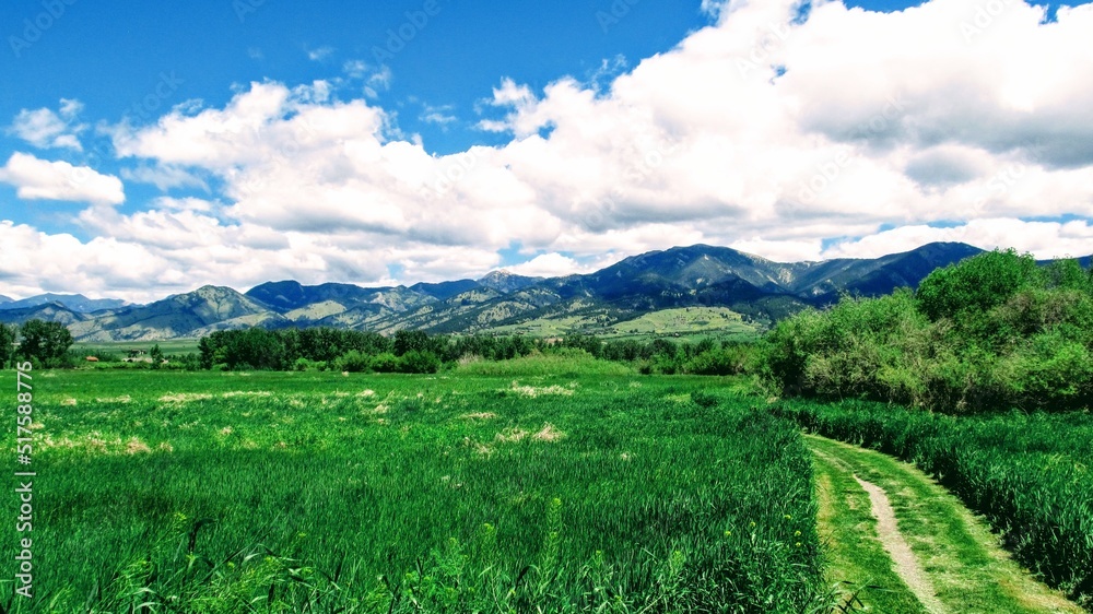 Fototapeta premium landscape with mountains and blue sky