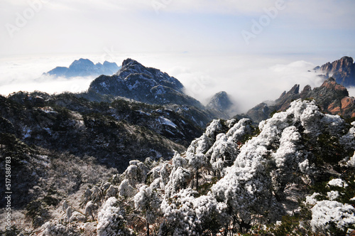 Mountain landscape after heavy snowfall, trees covered with snow and rime, sea of fluffy misty clouds ,China, Anhui Province, Mount Huang