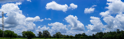 panorama blue sky with tiny clouds and green meadow