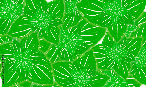 .Tropical green leaves hand drawn spring nature background © Alex395