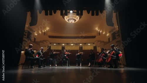 musical band is playing classic music on scene of philharmonic hall, string and wind instruments