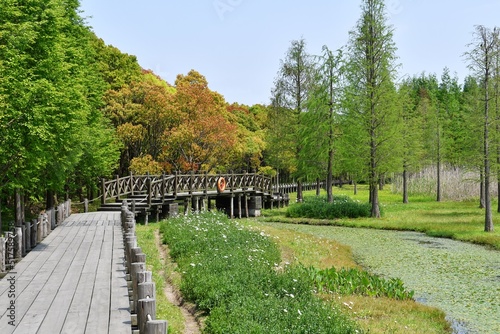 a small wooden bridge over a river in the wild and plants on the shore