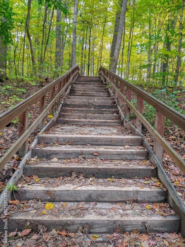 Wooden Stairs in Autumn Forest